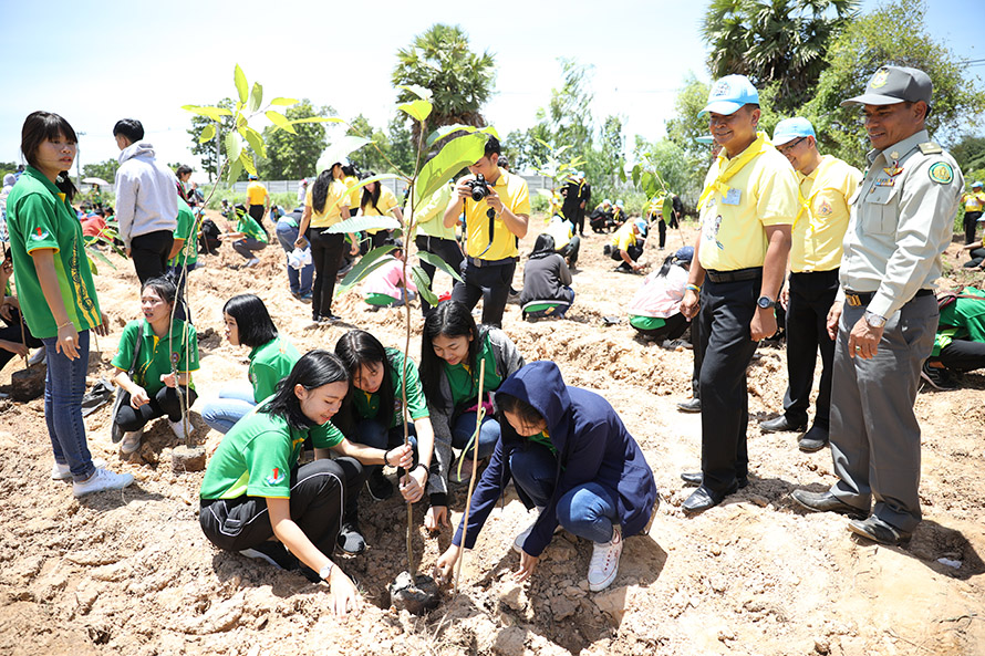 ปลูกต้นไม้เฉลิมพระเกียรติ