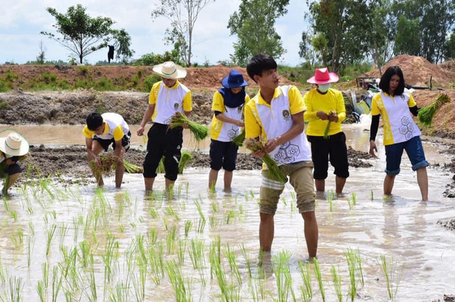 ราชภัฏจิตอาสาสืบสานศาสตร์พระราชา