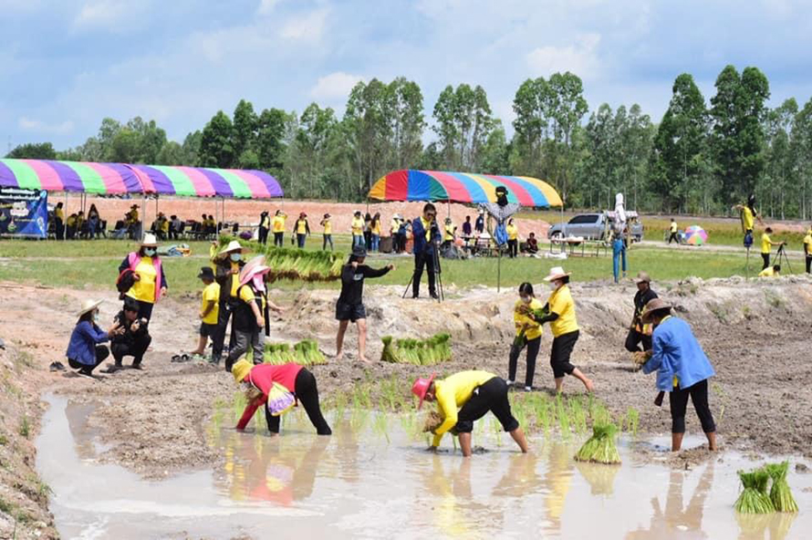 ราชภัฏจิตอาสาสืบสานศาสตร์พระราชา