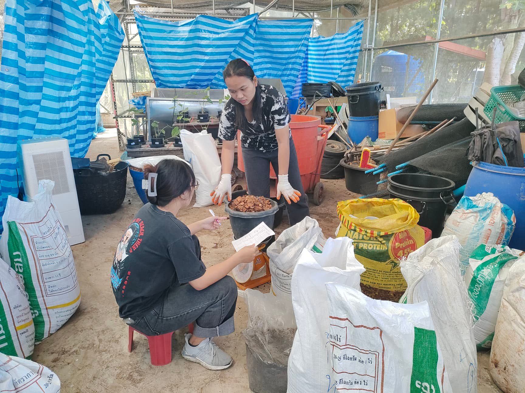 ตำบลตาลเลียน